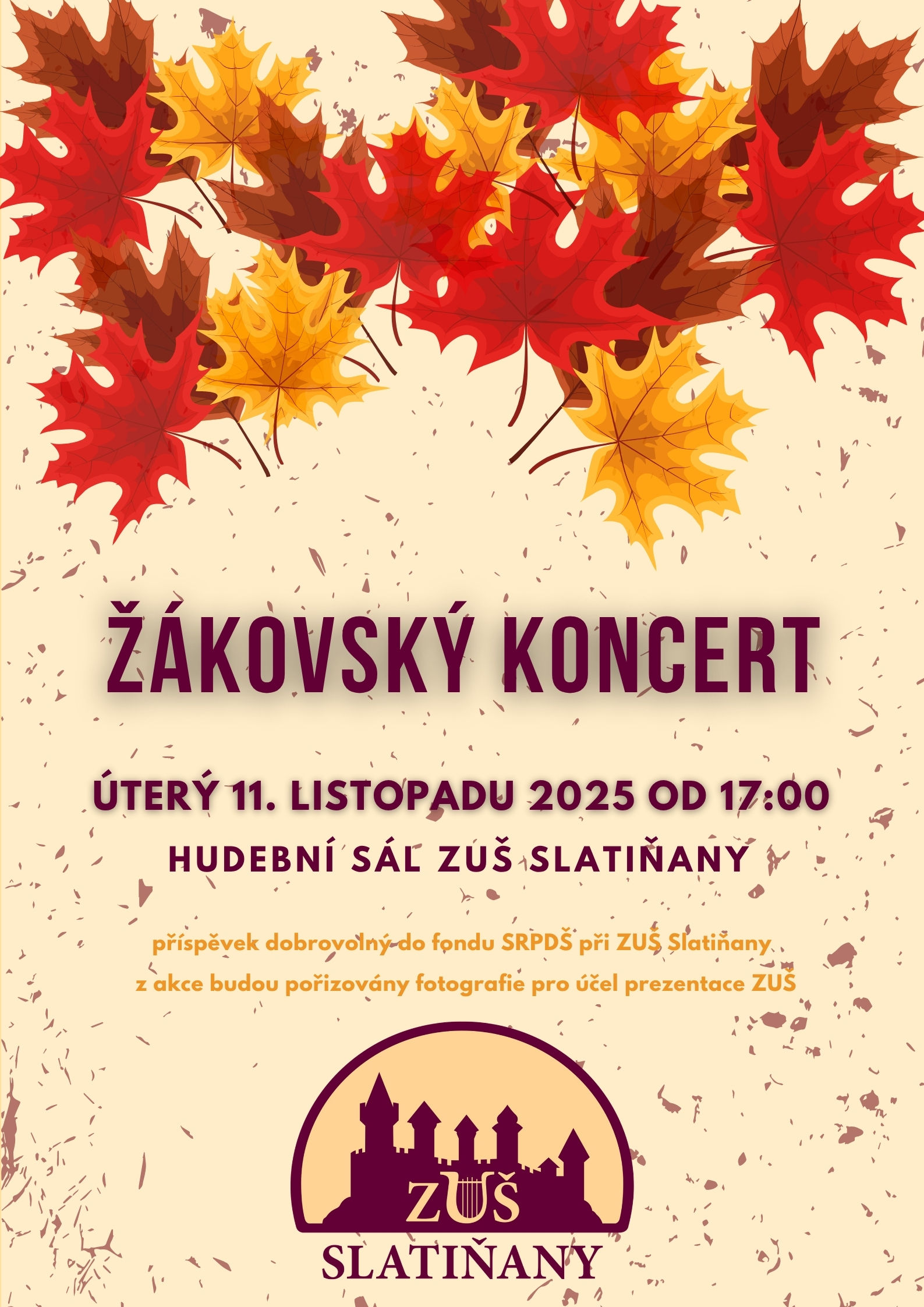 Žákovský koncert