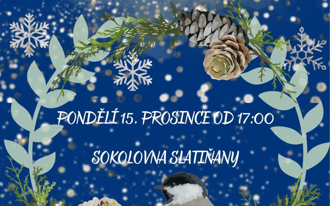 Vánoční žákovský koncert