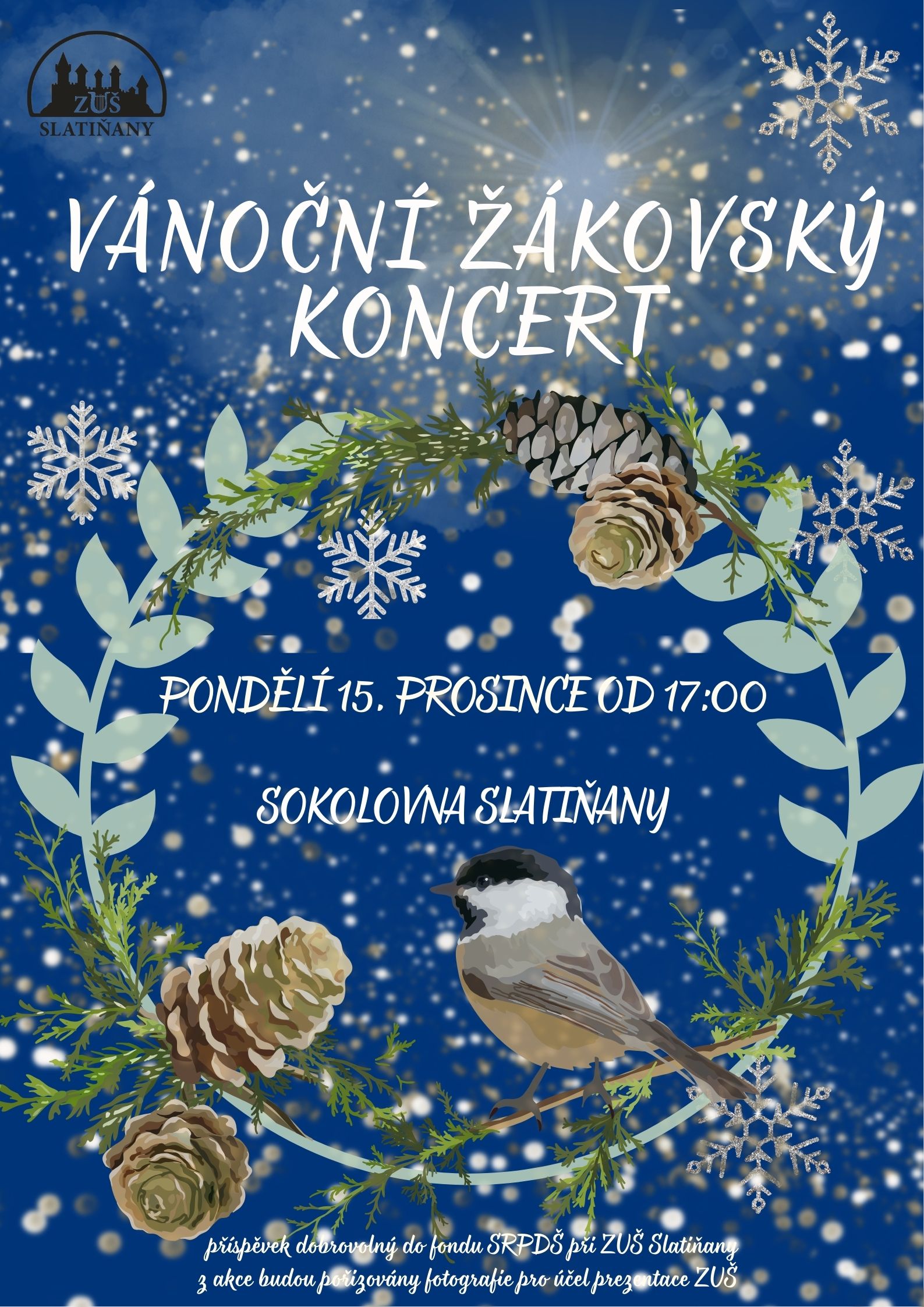 Vánoční žákovský koncert